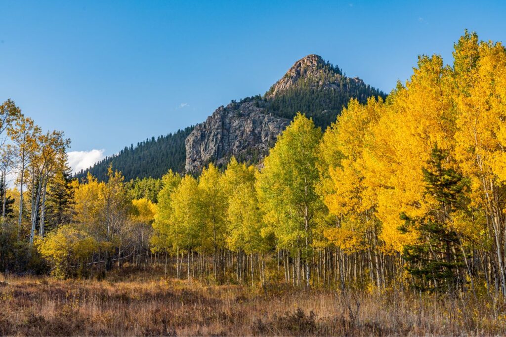 If you are looking for great campgrounds in Colorado, I would recommend the Golden Gate Canyon State Park.