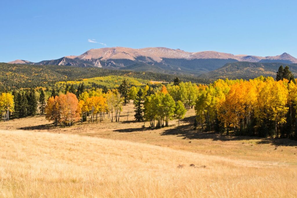 Mueller State Park has one of the popular campgrounds in Colorado.