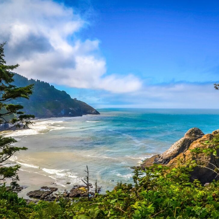 Amazing West Coast Road Trips