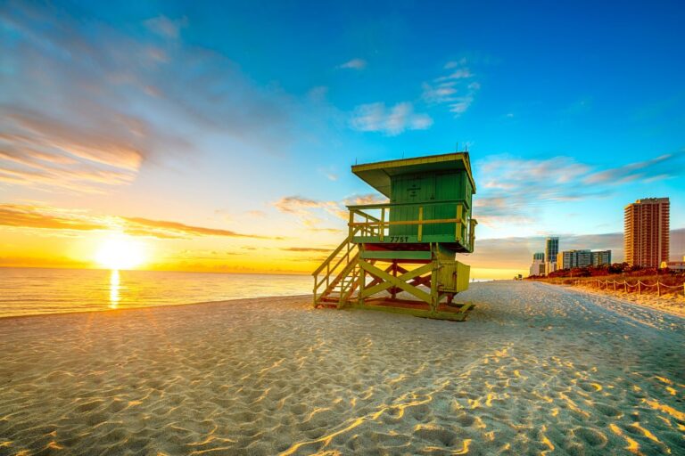 Things to do in Miami with kids