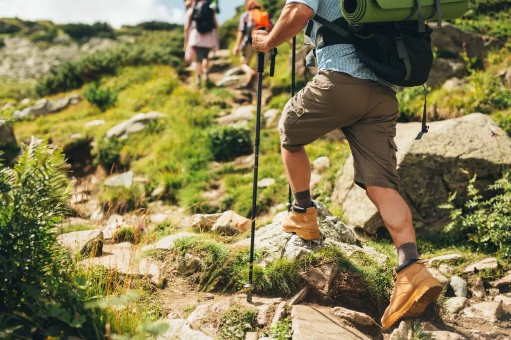 Norway has some of the most beautiful landscapes and hiking is definitely one of the summer activities in Tromso that you should try!