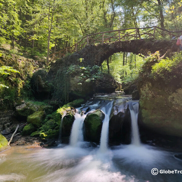 Mullerthal Trail With Toddlers (The Super Easy Version)