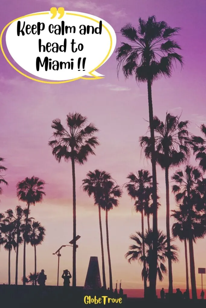 Short Miami Captions And Quotes For Instagram
