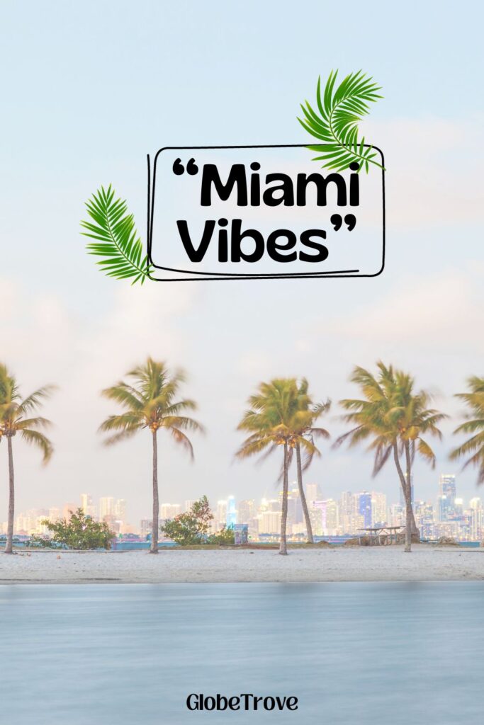 A beach, coconut trees and a cool Miami caption saying Miami vibes