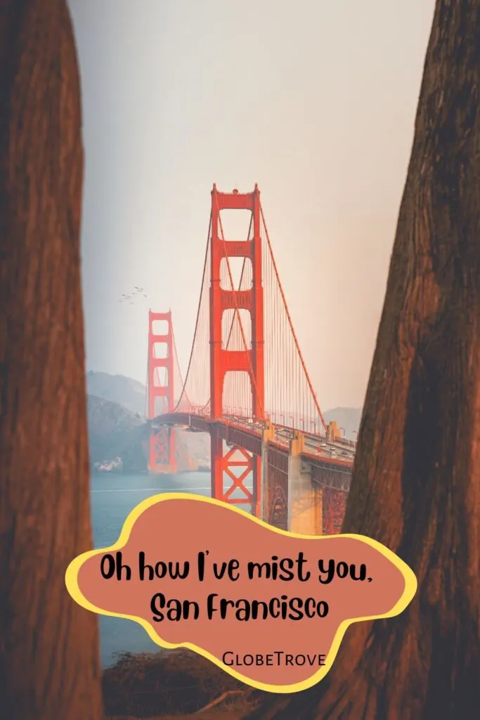 funny San Francisco captions and quotes