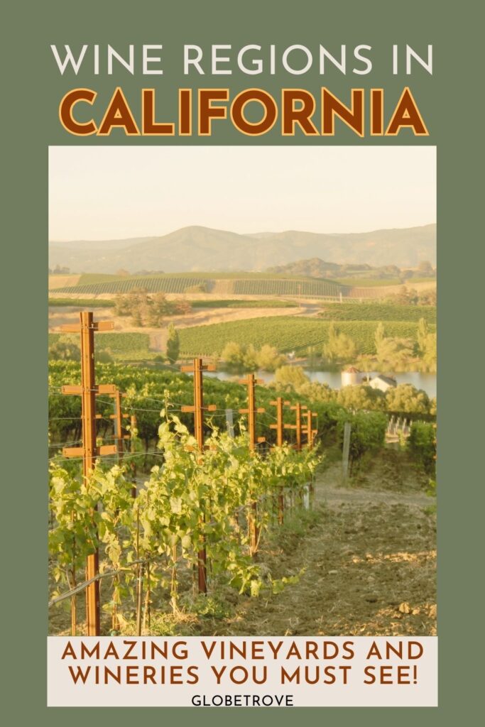 Amazing wine regions in California