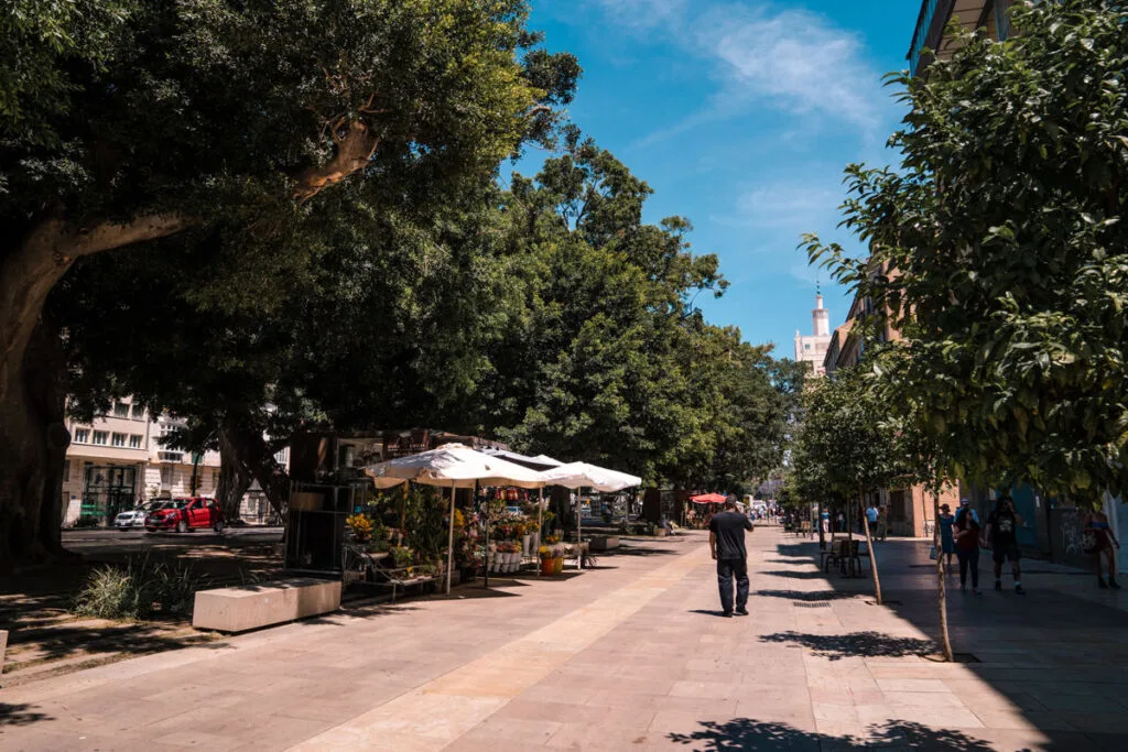 Tree lined streets in the old town have some of the best hotels in Malaga.
