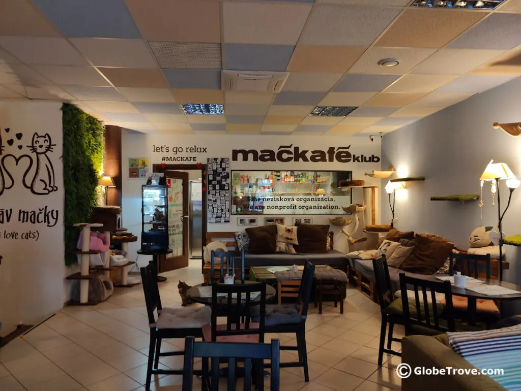 The inside of Mackafe which in my humble opinion is one of the coolest restaurants in Bratislava because it has cats!