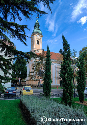 The Serbian Orthodox church with the green foliage surrounding it.