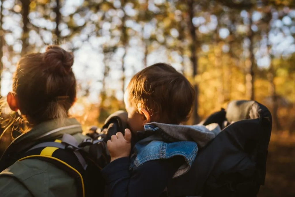 Baby Carriers For Travel With An External Frame