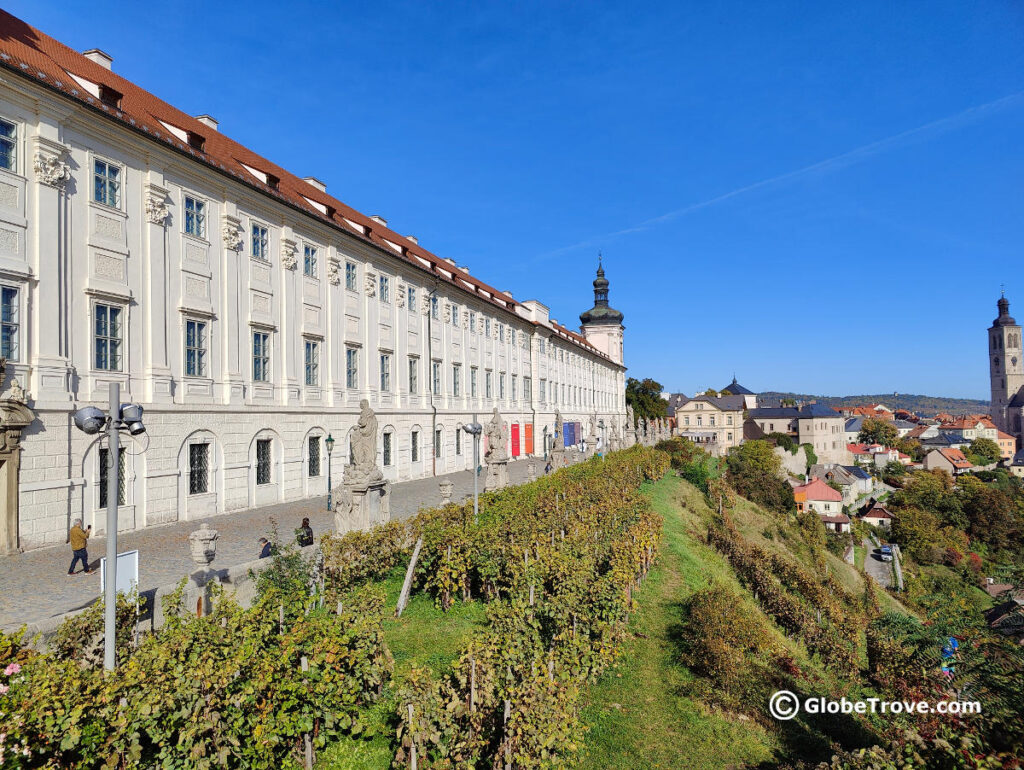 The Vinice vineyards that border Galerie Soch are very picturesque. They are one of the sights that you should not miss in Kutna Hora.