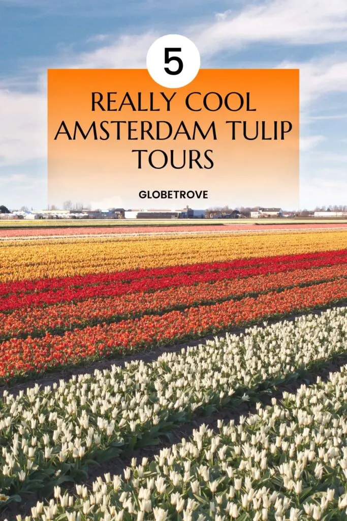 Amsterdam tulip tours
