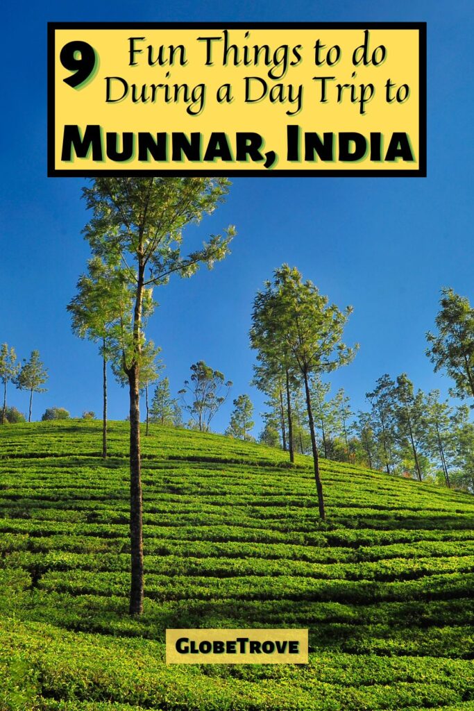 Fun things to do in Munnar