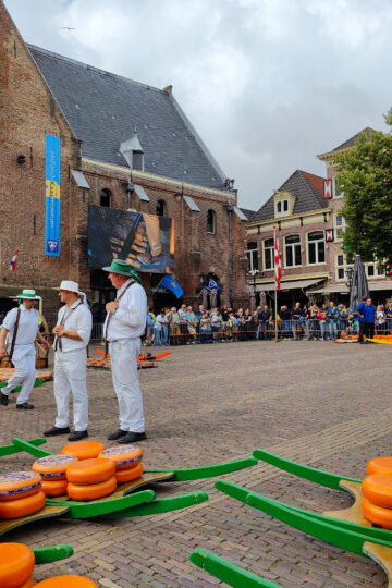5 Cool Things To Do In Alkmaar Cheese Market + Local Tips 10 Alkmaar cheese market and the trading