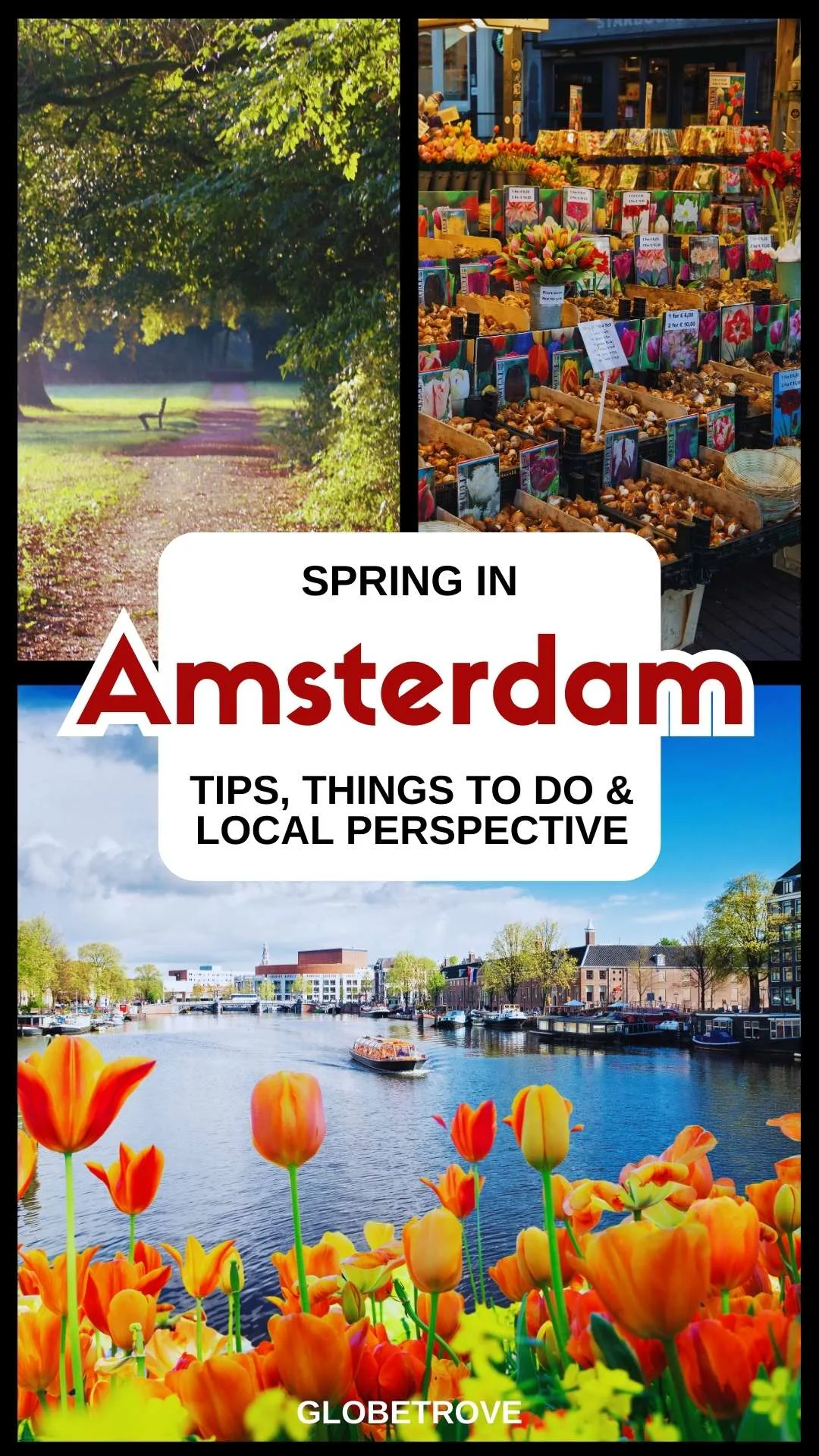 Amsterdam in Spring