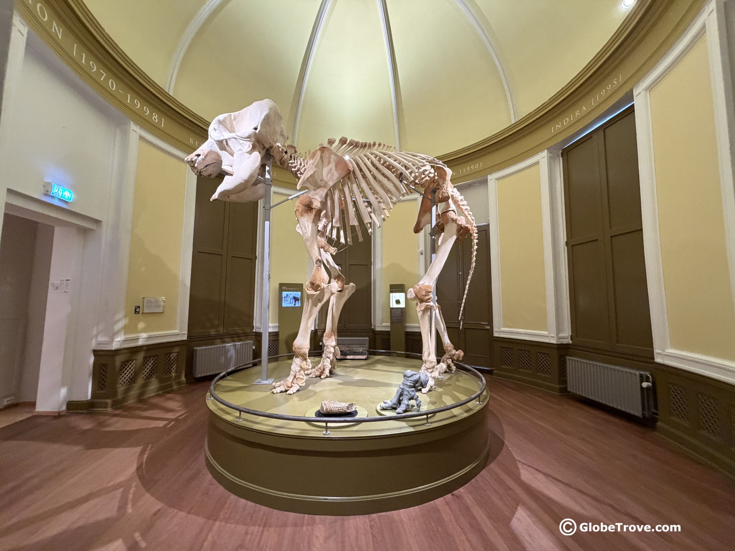5 Fun Things To Do In The Museumpark In Rotterdam 3 Natural history museum in Rotterdam